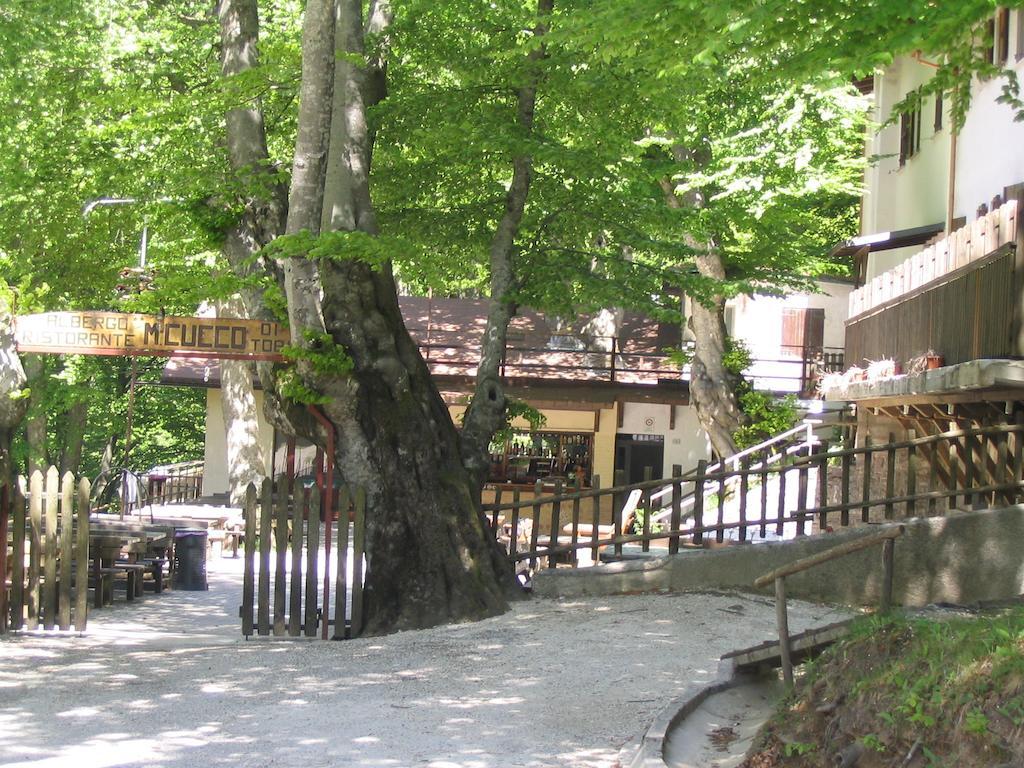 Albergo Ristorante Montecucco Da Tobia Sigillo Exterior photo